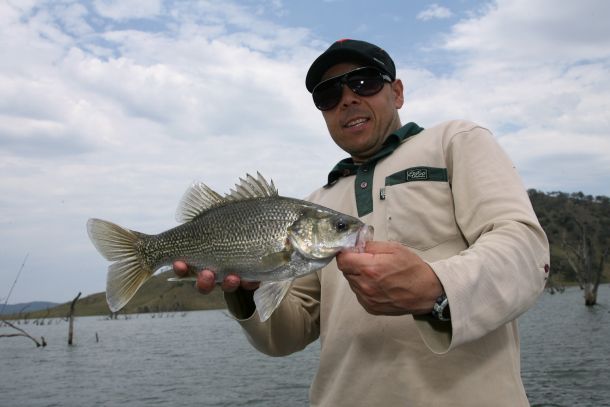 Chris Cleaver with his recently caught and released hybrid cod he likes to call a Murrout (cross between a Murray and trout cod).